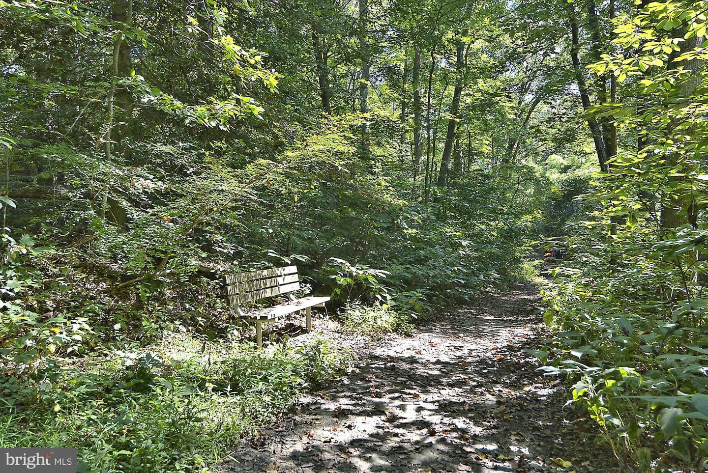 2708 Summerview Way #102 photo 22