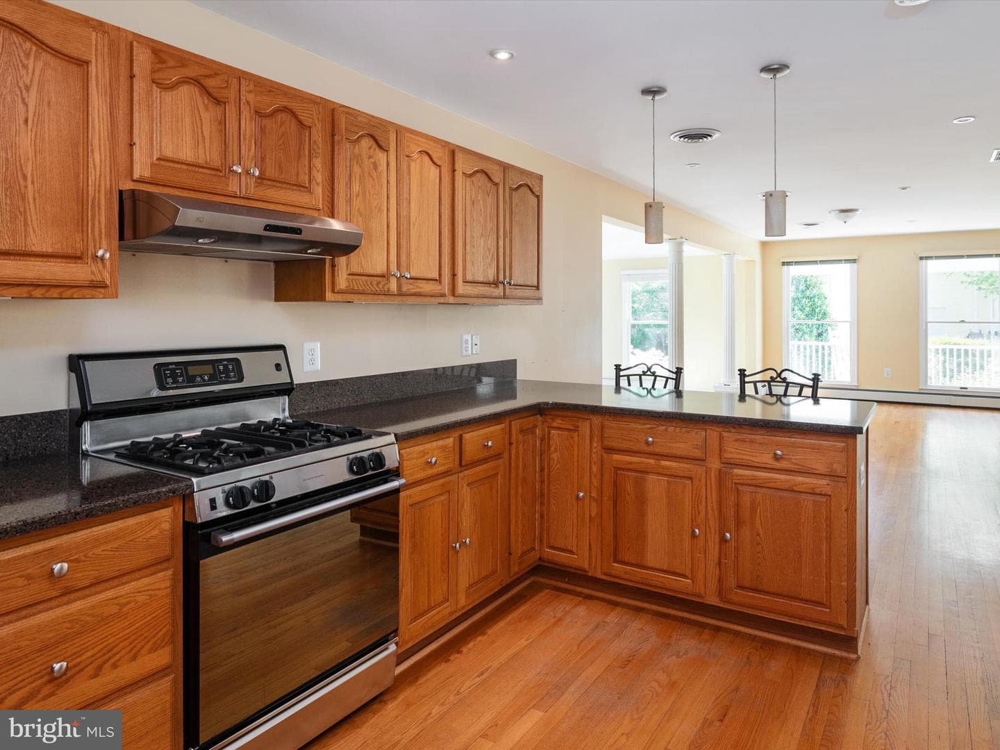 1631 Lee Drive photo 22
