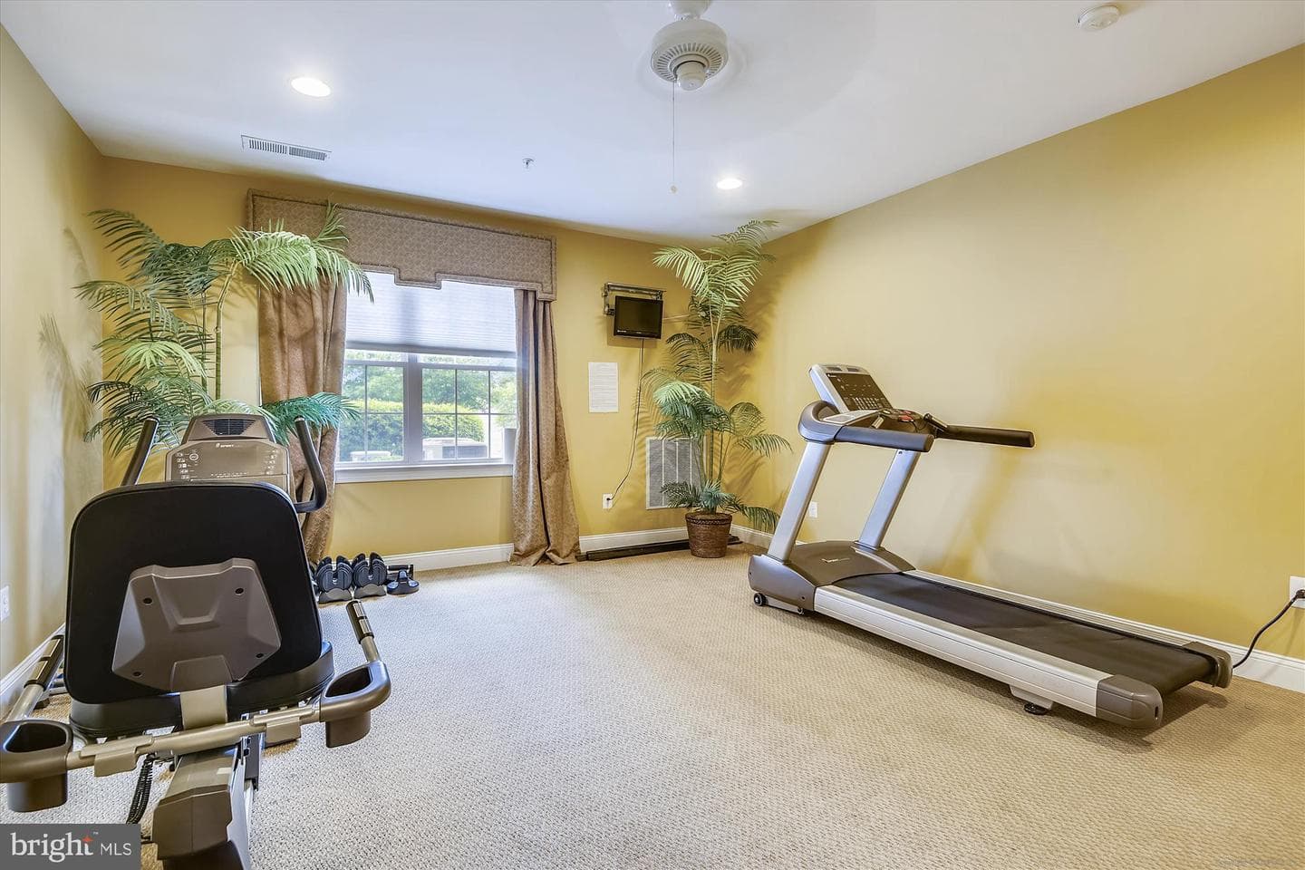 8535 Veterans Highway #205 photo 36