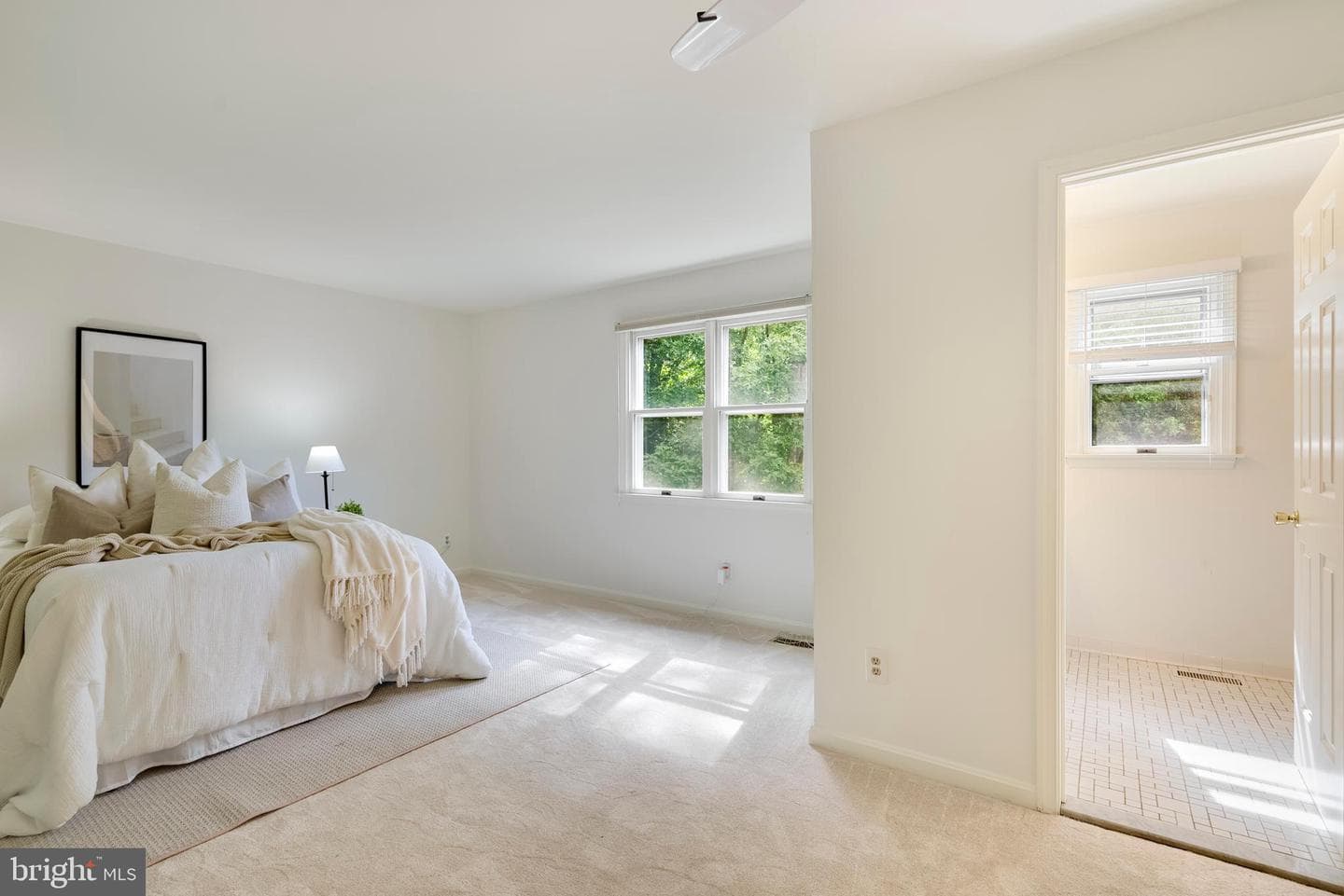 402 Sheffield Road photo 25