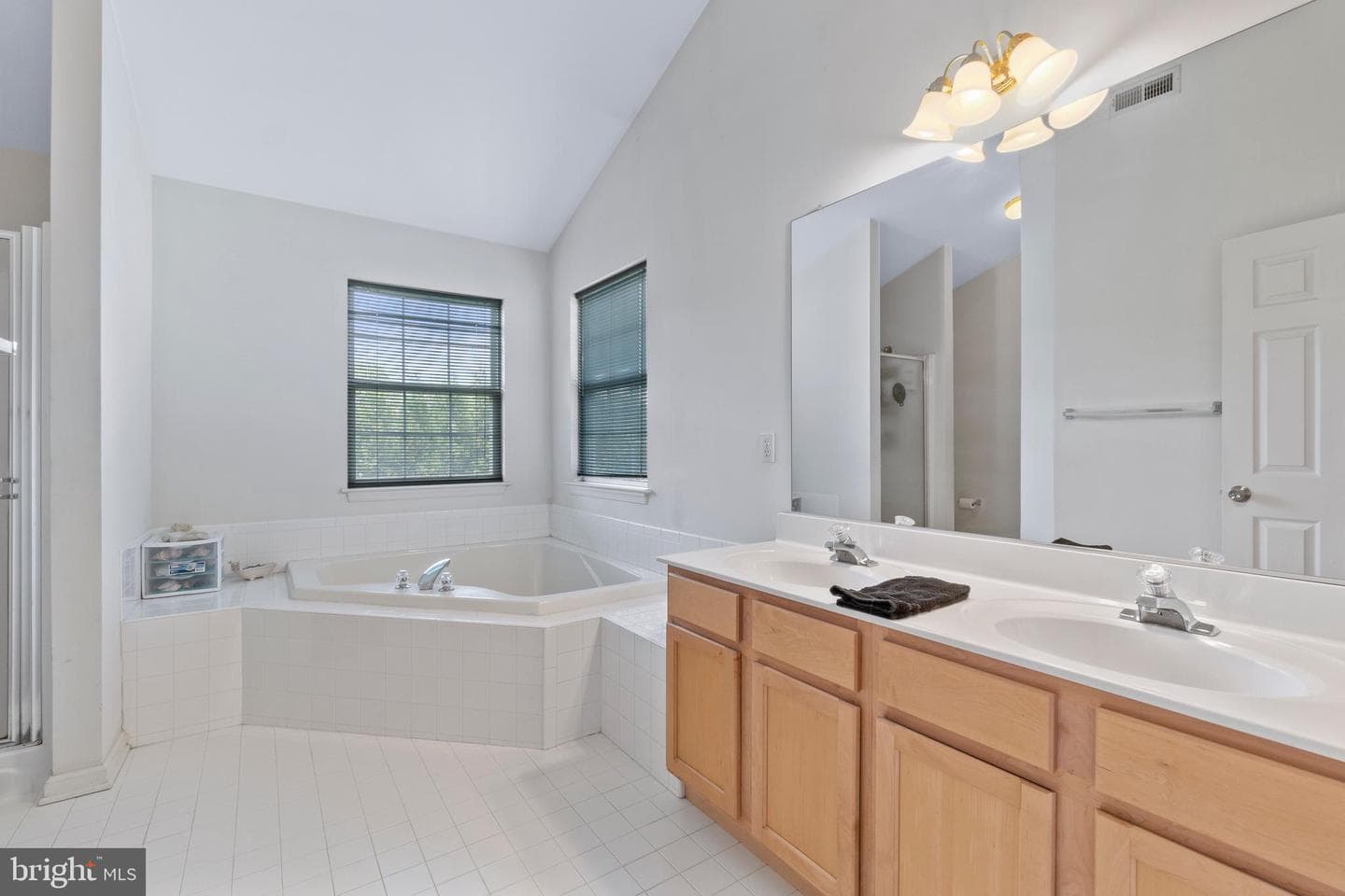313 Buckland Court photo 38