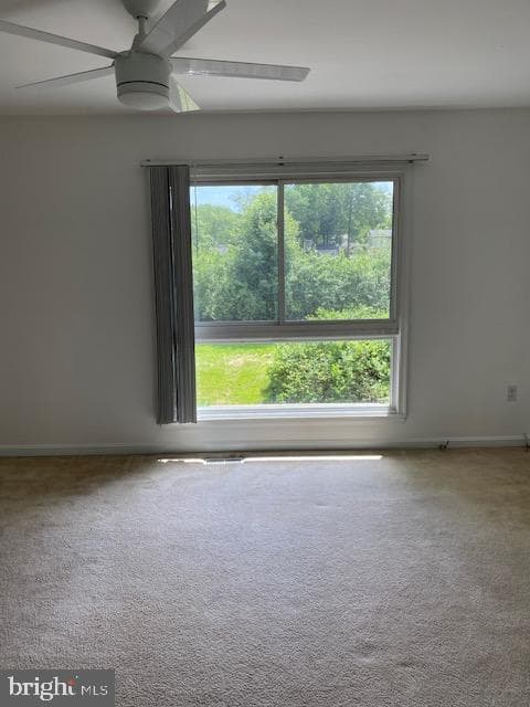 1936 Cambridge Drive photo 19