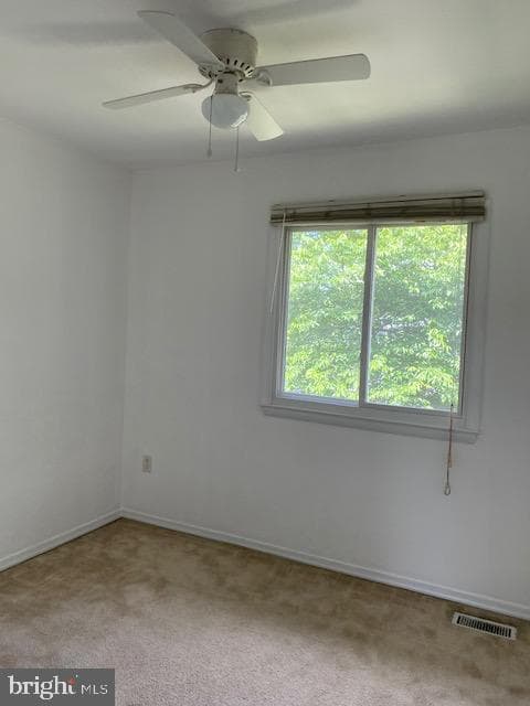 1936 Cambridge Drive photo 25