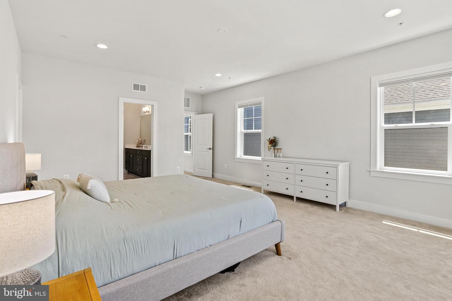 1604 Canary Grass Drive photo 16