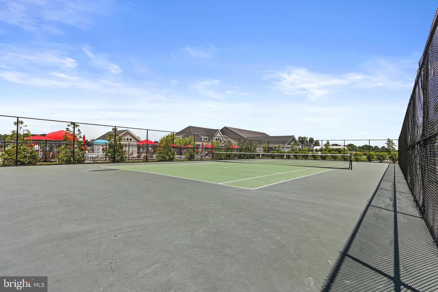 1604 Canary Grass Drive photo 41