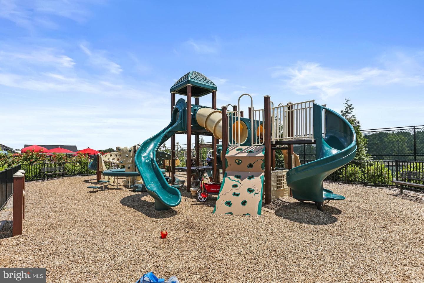 1604 Canary Grass Drive photo 43