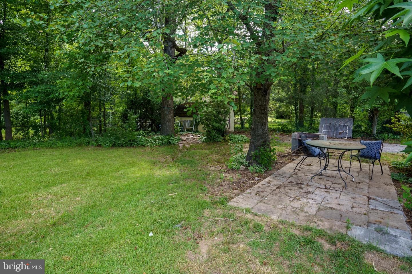 107 Phelps Avenue photo 28