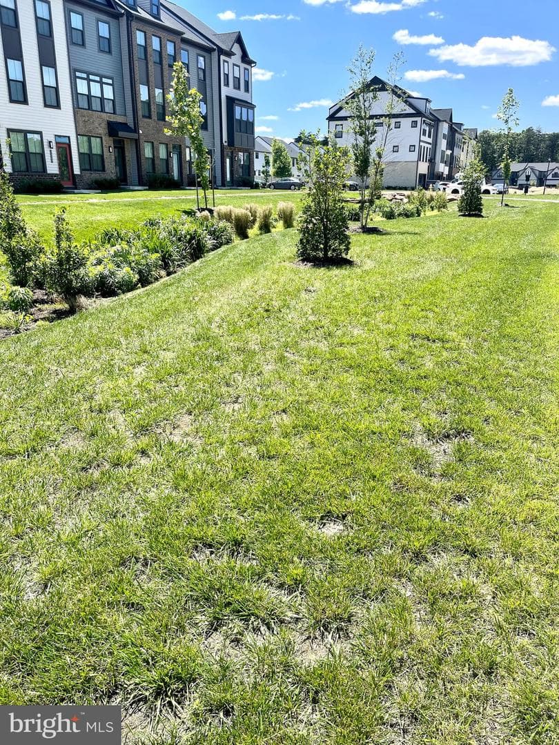 7217 Sprouse Court photo 22