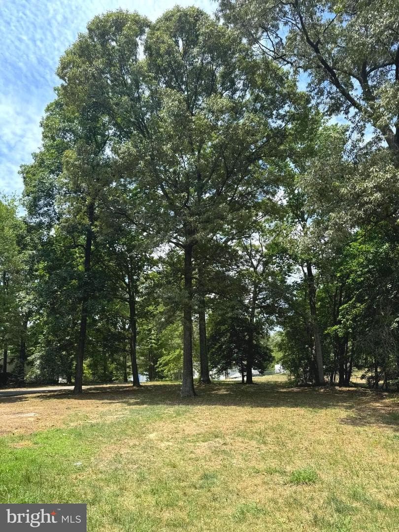 1567 Colony Road photo 14