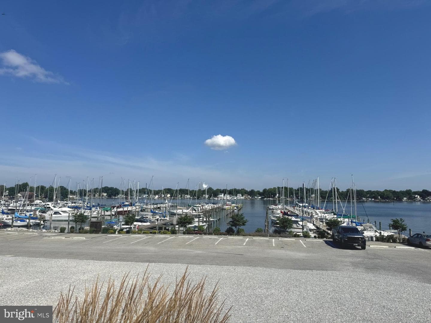 1567 Colony Road photo 23