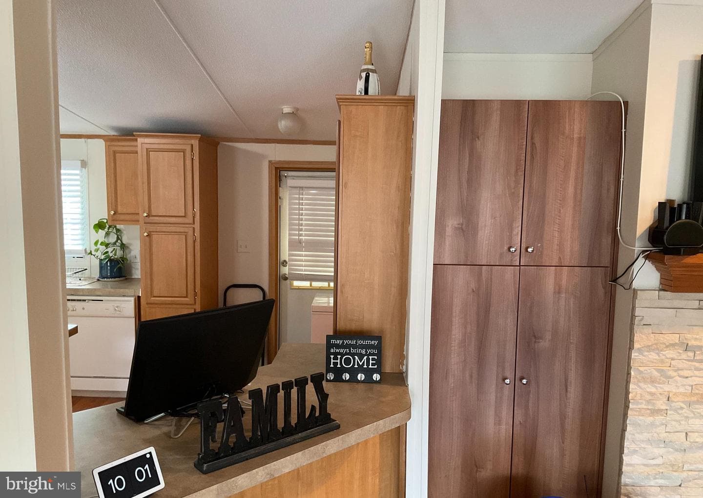 156 Jaguar Drive photo 10