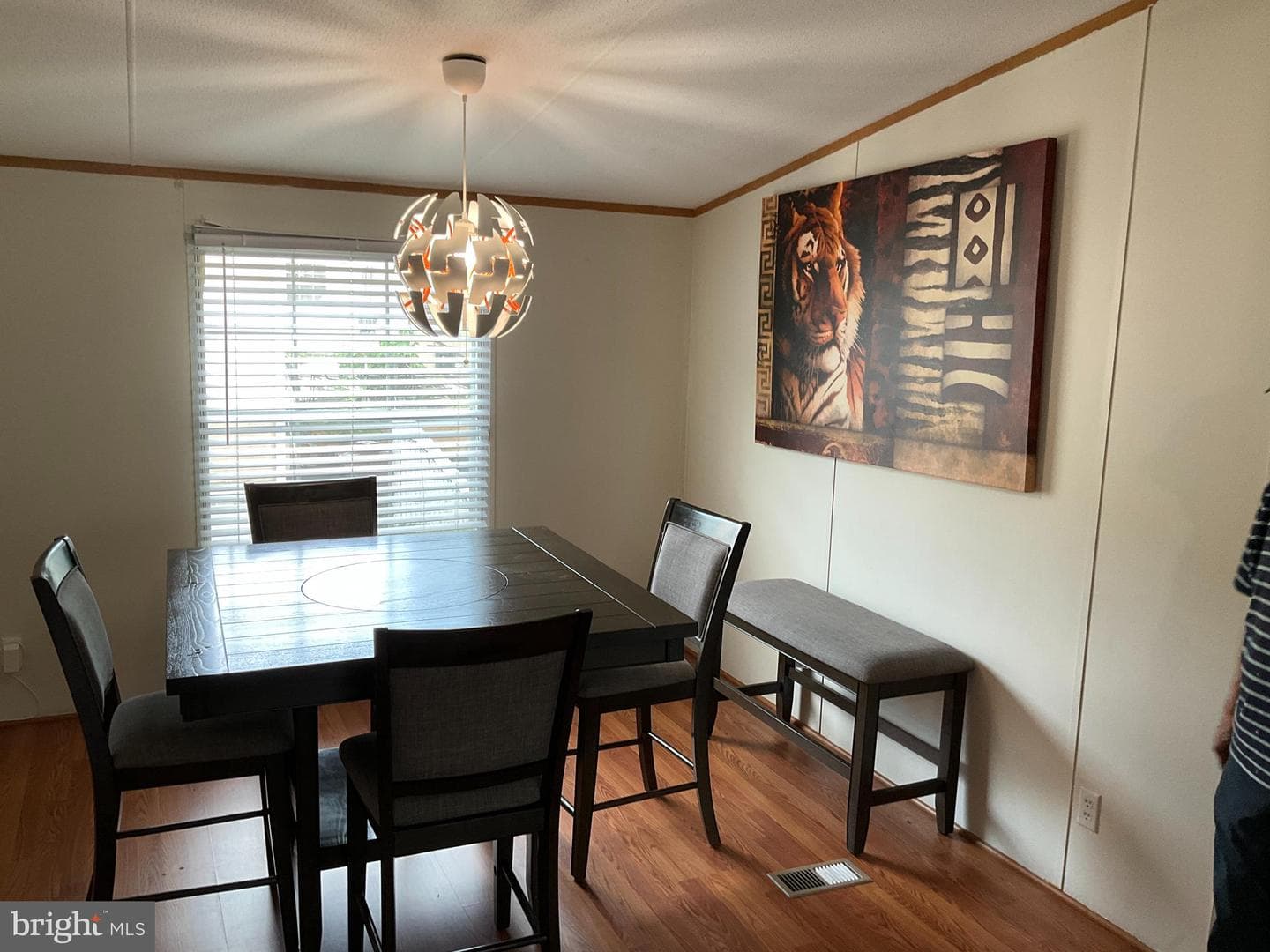 156 Jaguar Drive photo 6