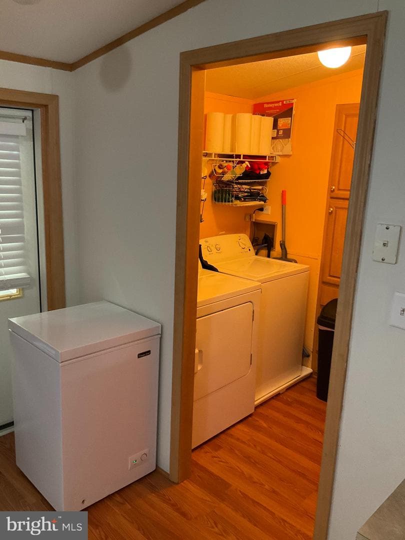 156 Jaguar Drive photo 9