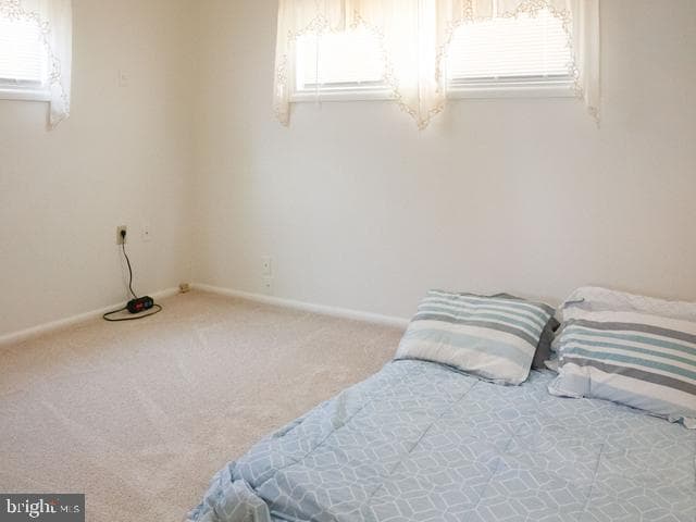13 Thomas Road photo 13