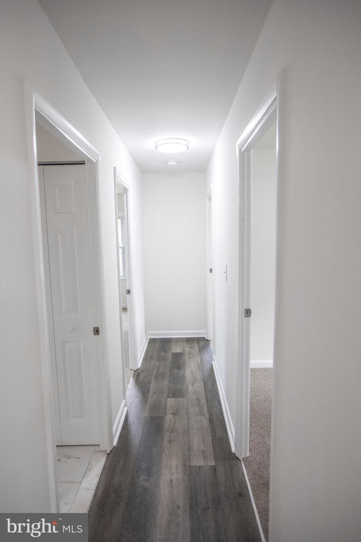 902 Sunny Brook Court photo 16