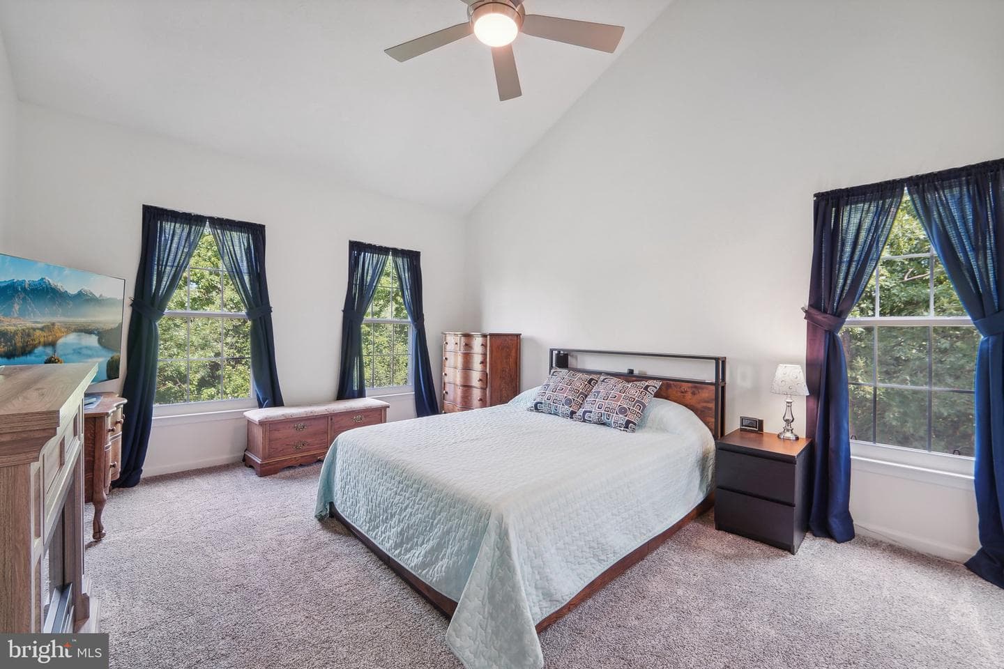 2406 Chestnut Terrace Court #303 photo 15