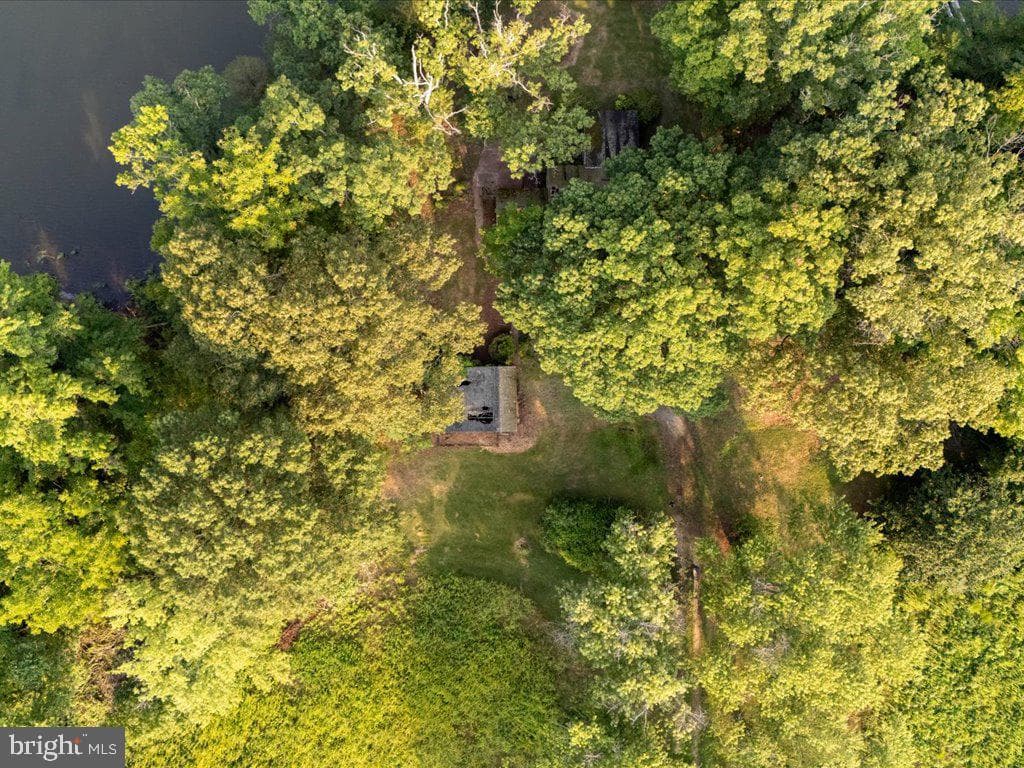 1718 Holly Beach Farm Road photo 8