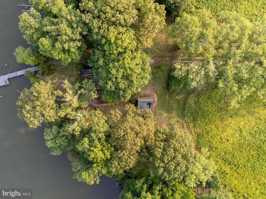 1718 Holly Beach Farm Road photo 9