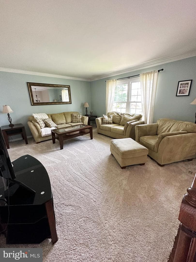 1607 Furnace Drive photo 23