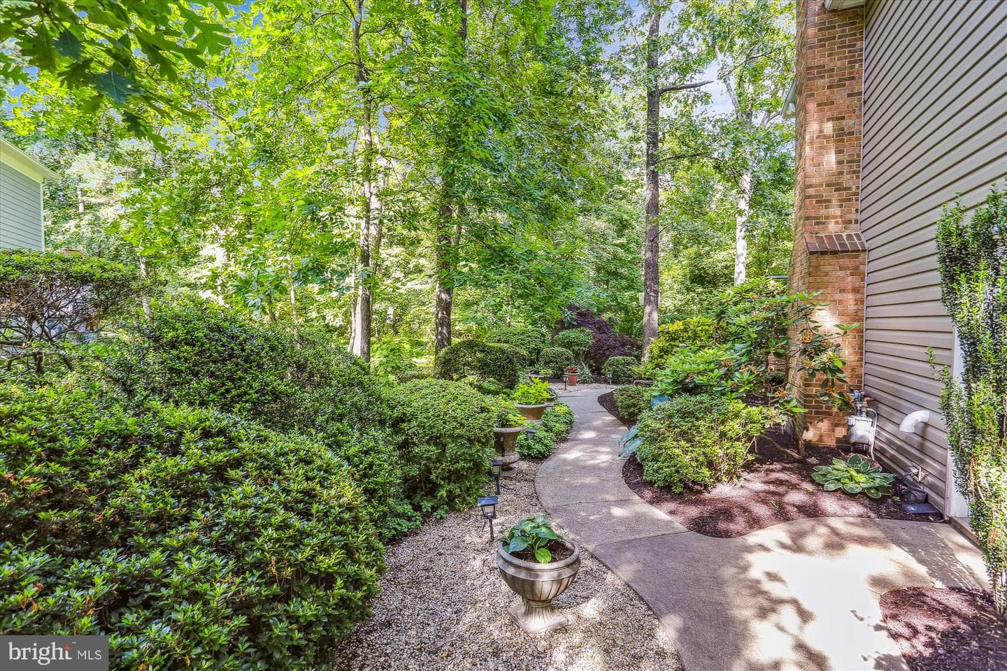 389 Gambel Oak Court photo 5