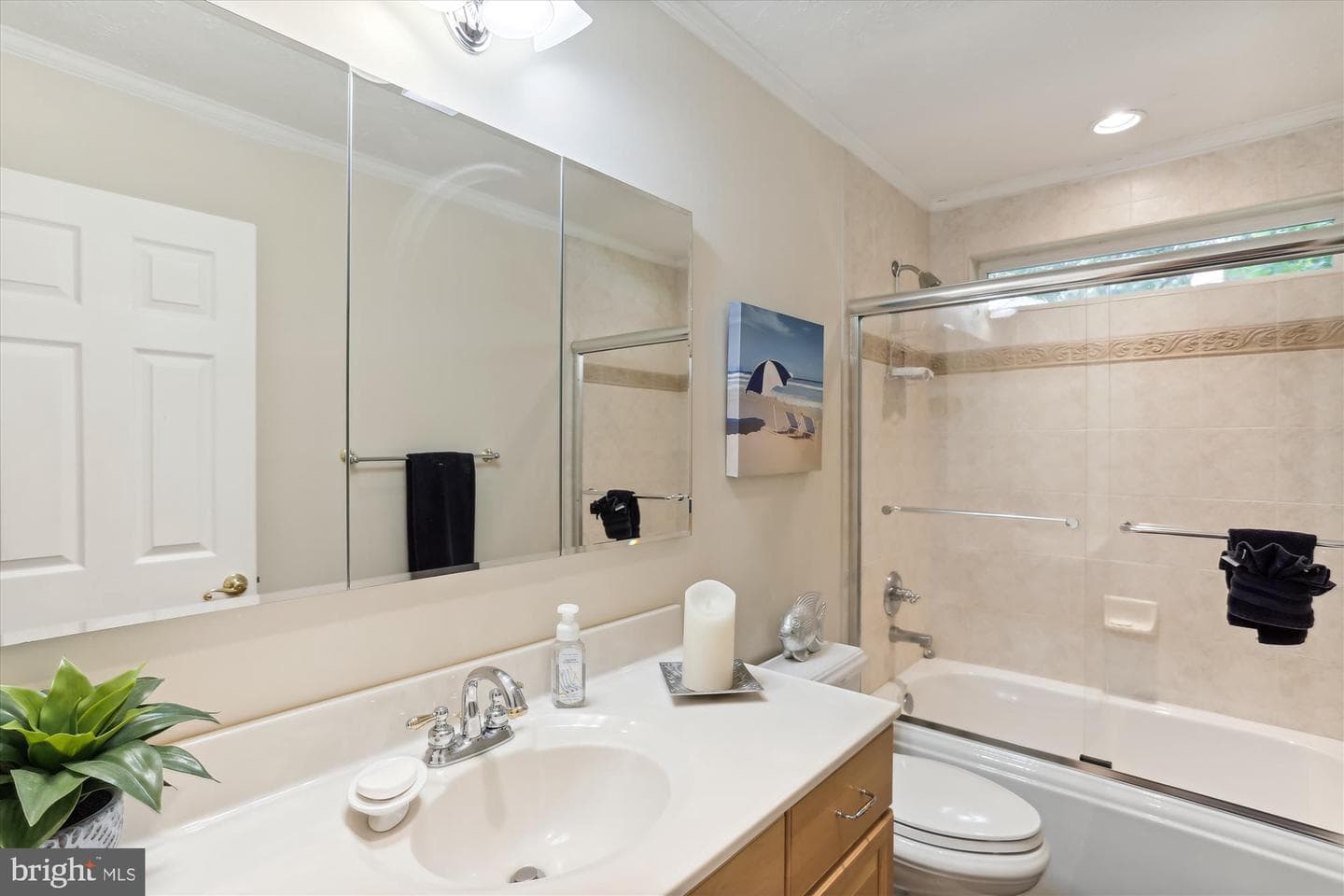 389 Gambel Oak Court photo 54