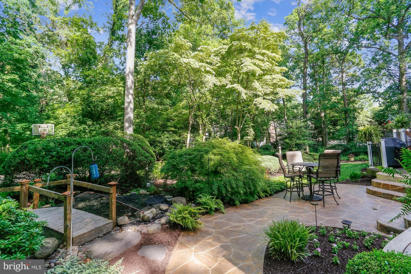 389 Gambel Oak Court photo 6