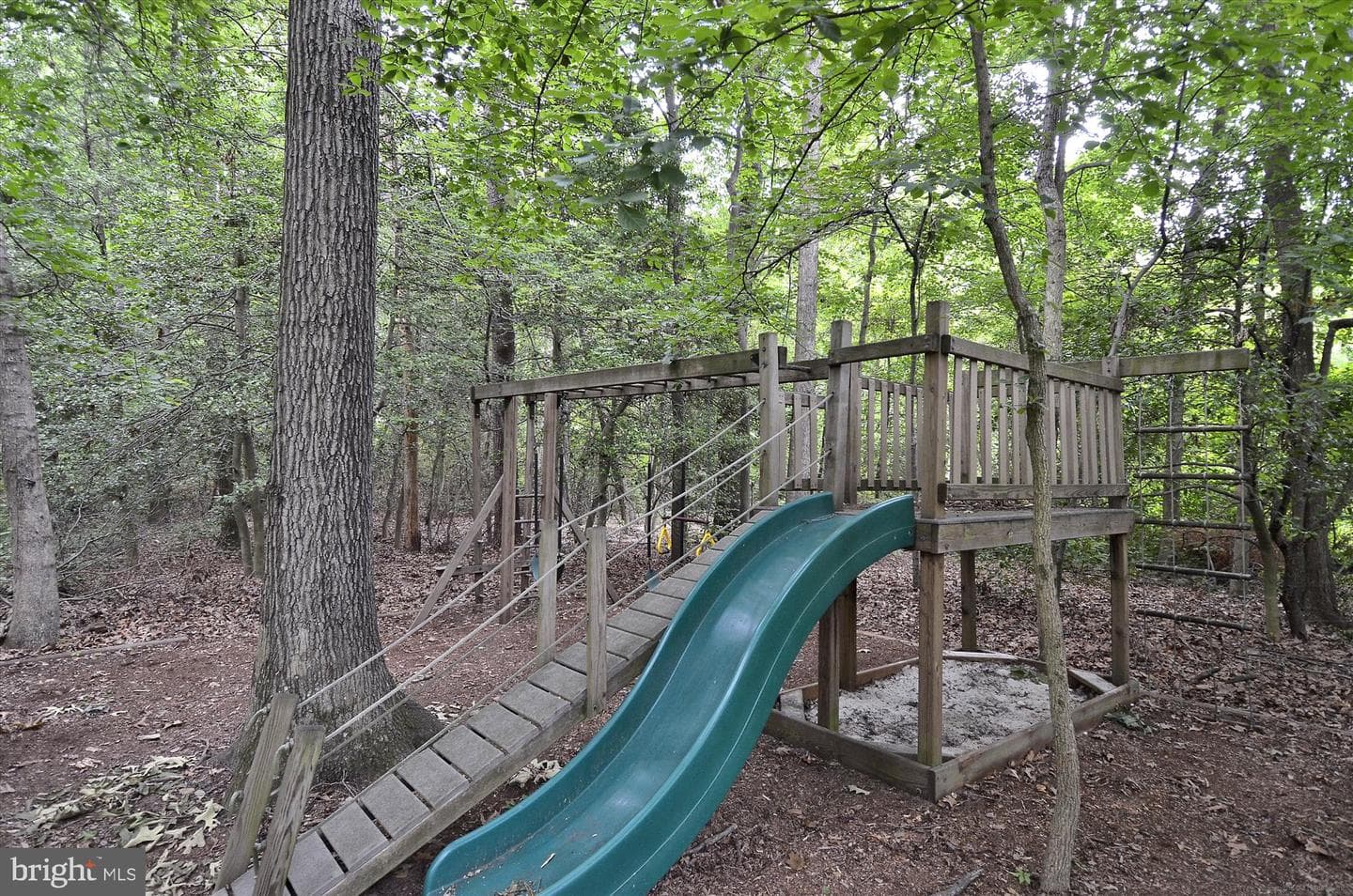 389 Gambel Oak Court photo 70