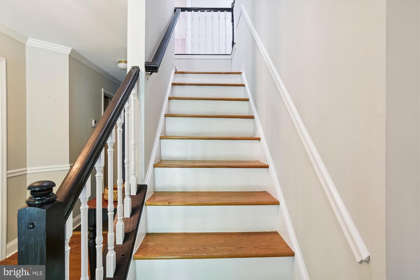 8117 Equestrian Drive photo 39
