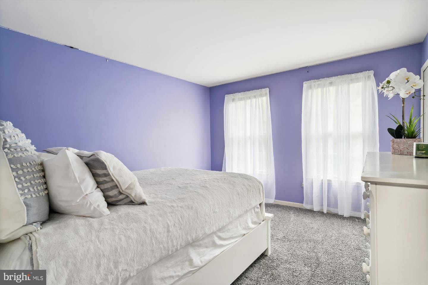 8117 Equestrian Drive photo 48