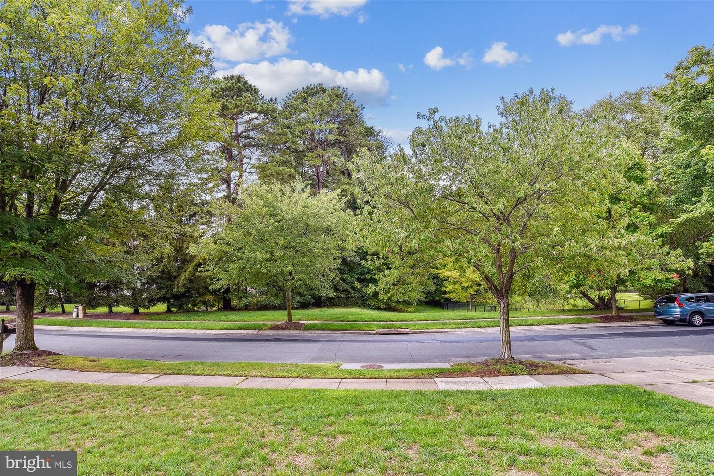 8117 Equestrian Drive photo 67