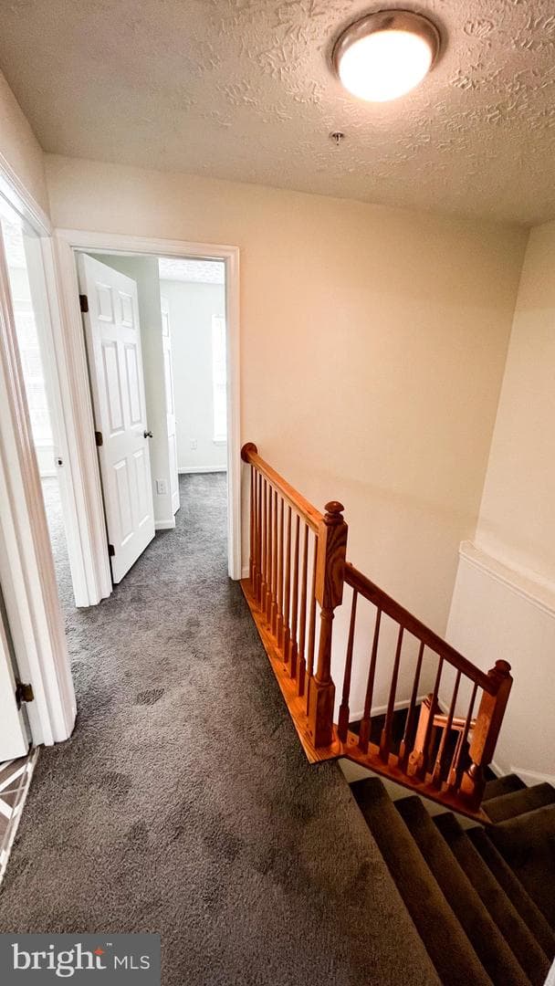 2713 Hickory Knoll Court photo 29