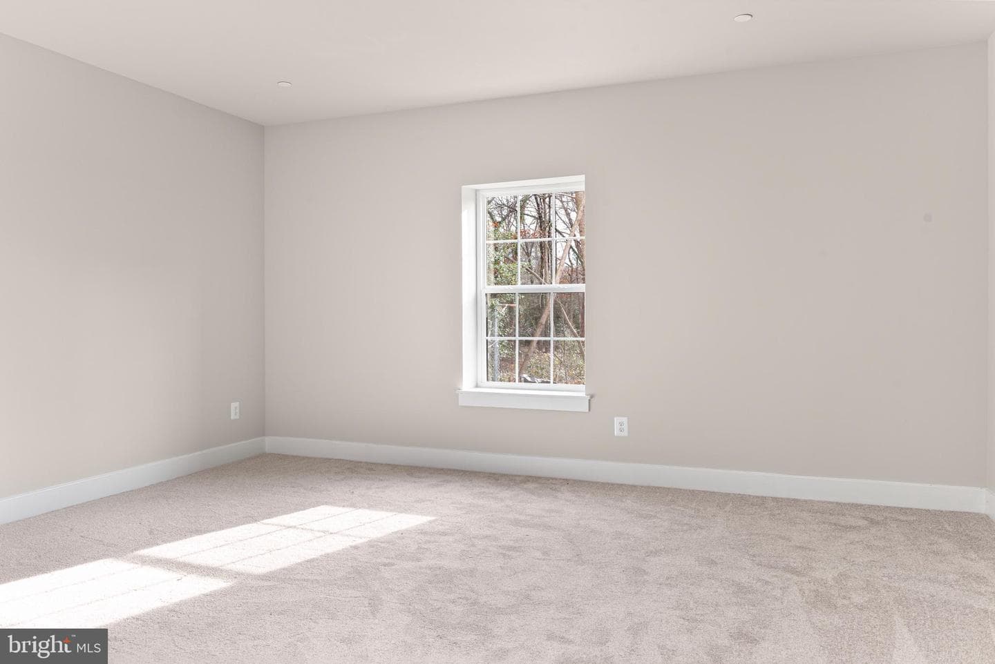 41 Stratford Drive photo 23