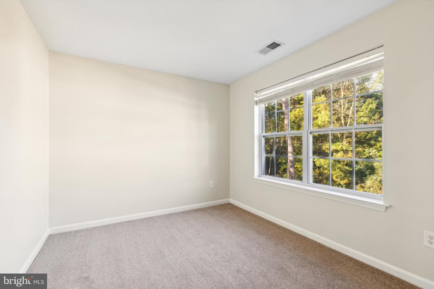 907 Boundary Avenue photo 43