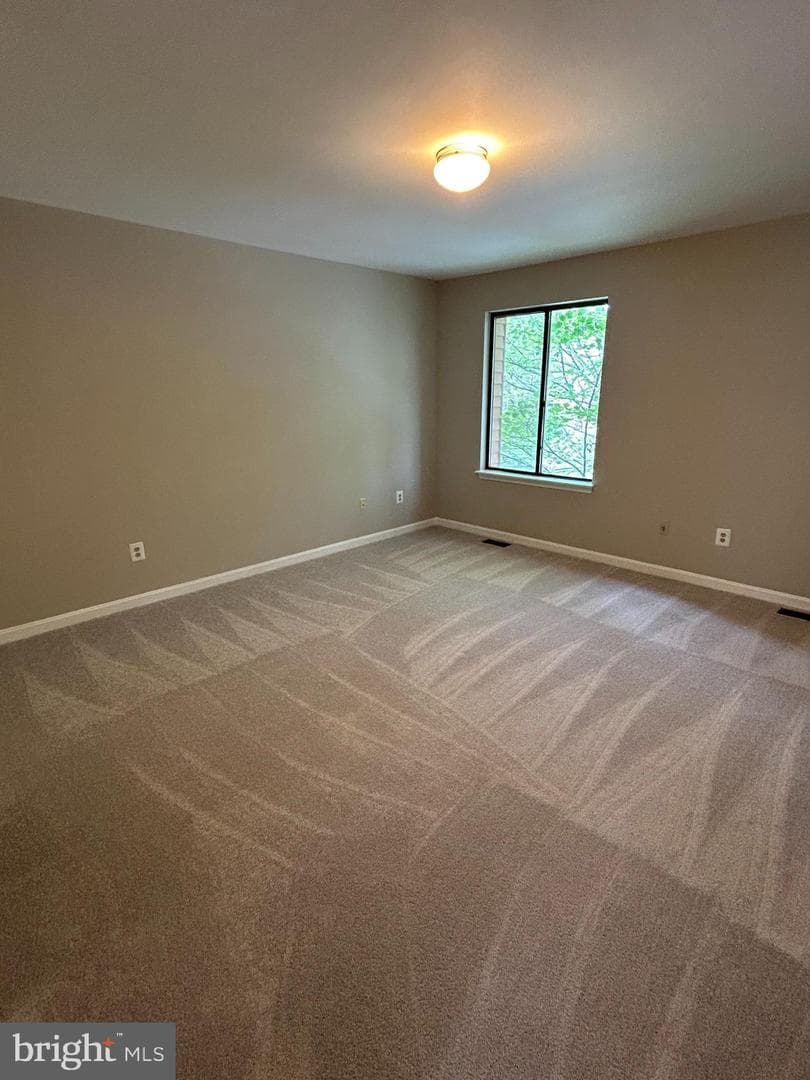 413 Peach Court photo 15