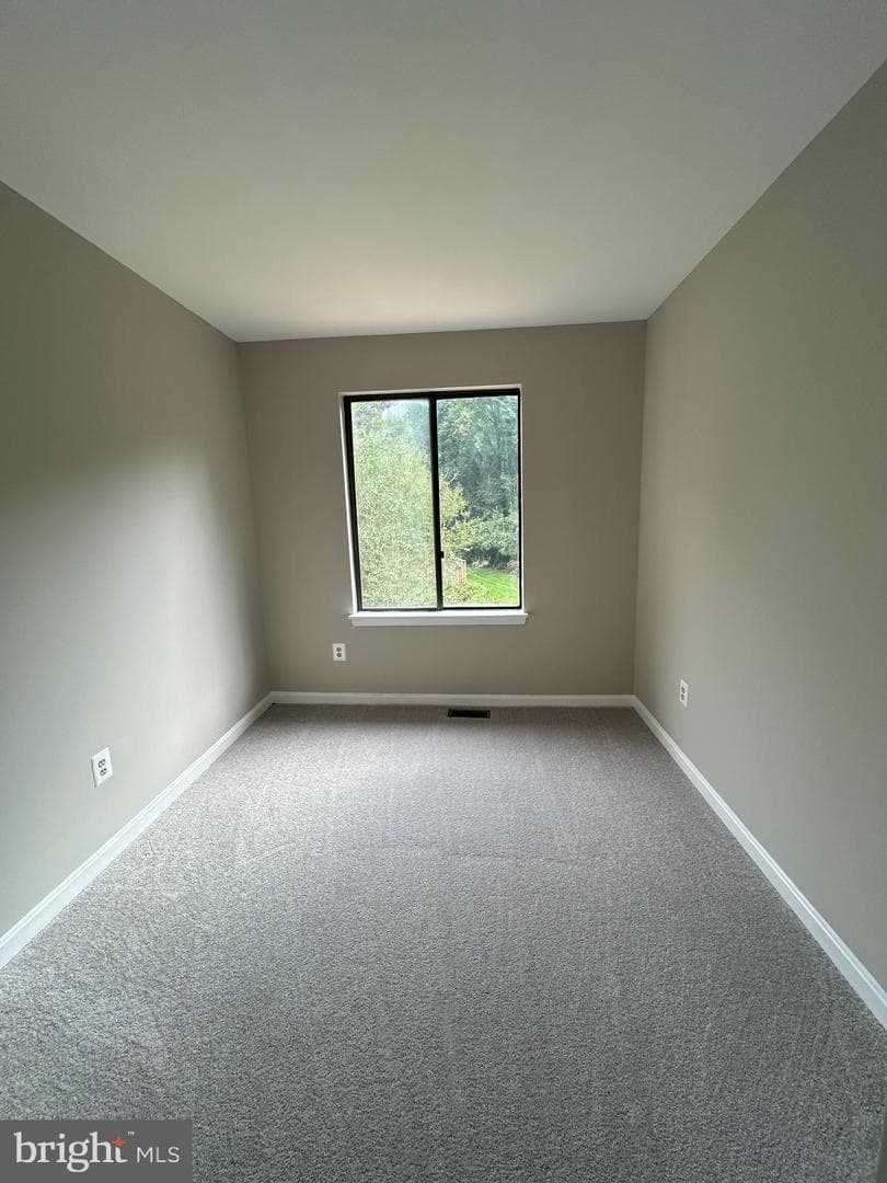 413 Peach Court photo 18