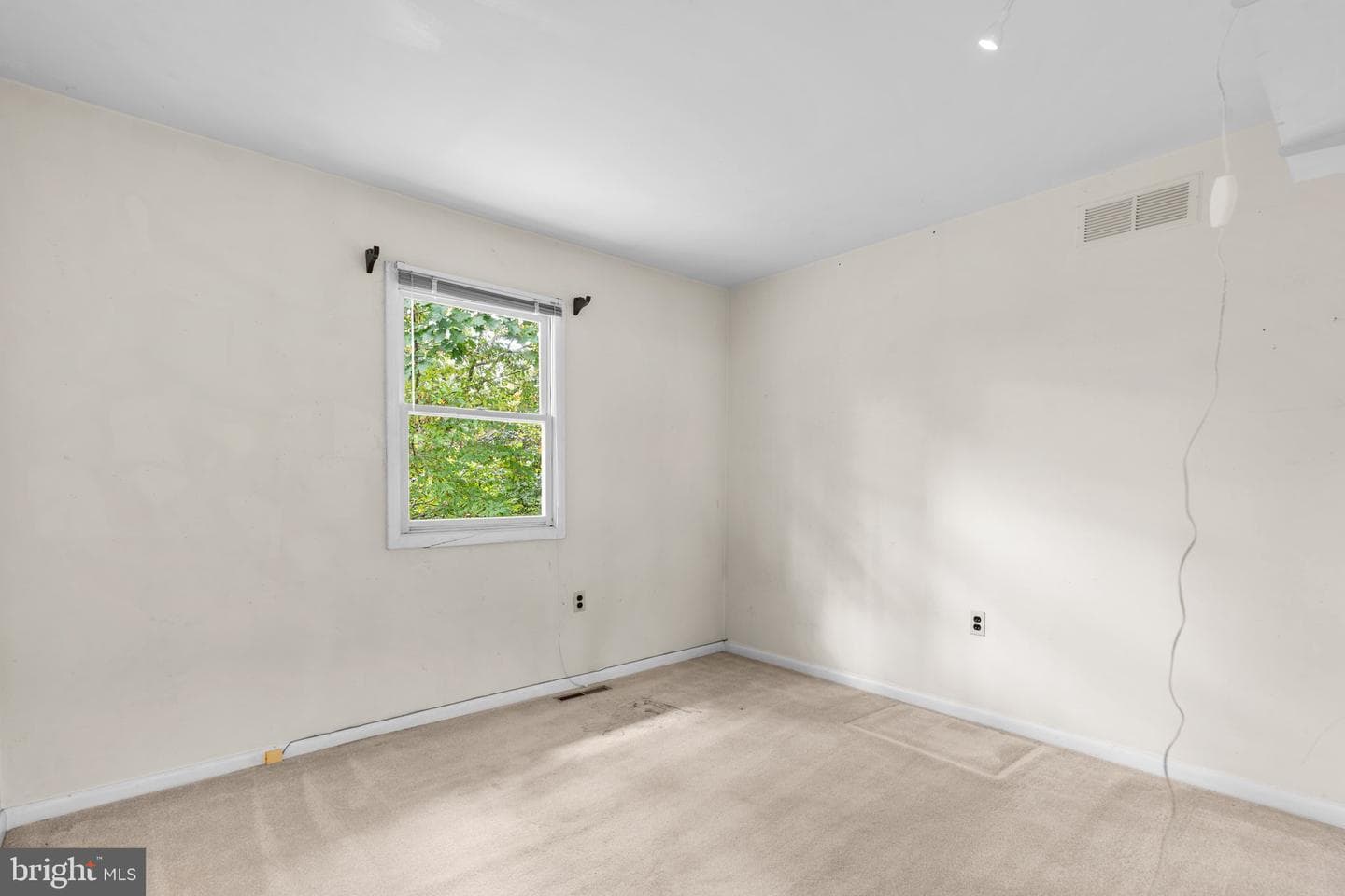 178 Tall Tree Trail photo 27