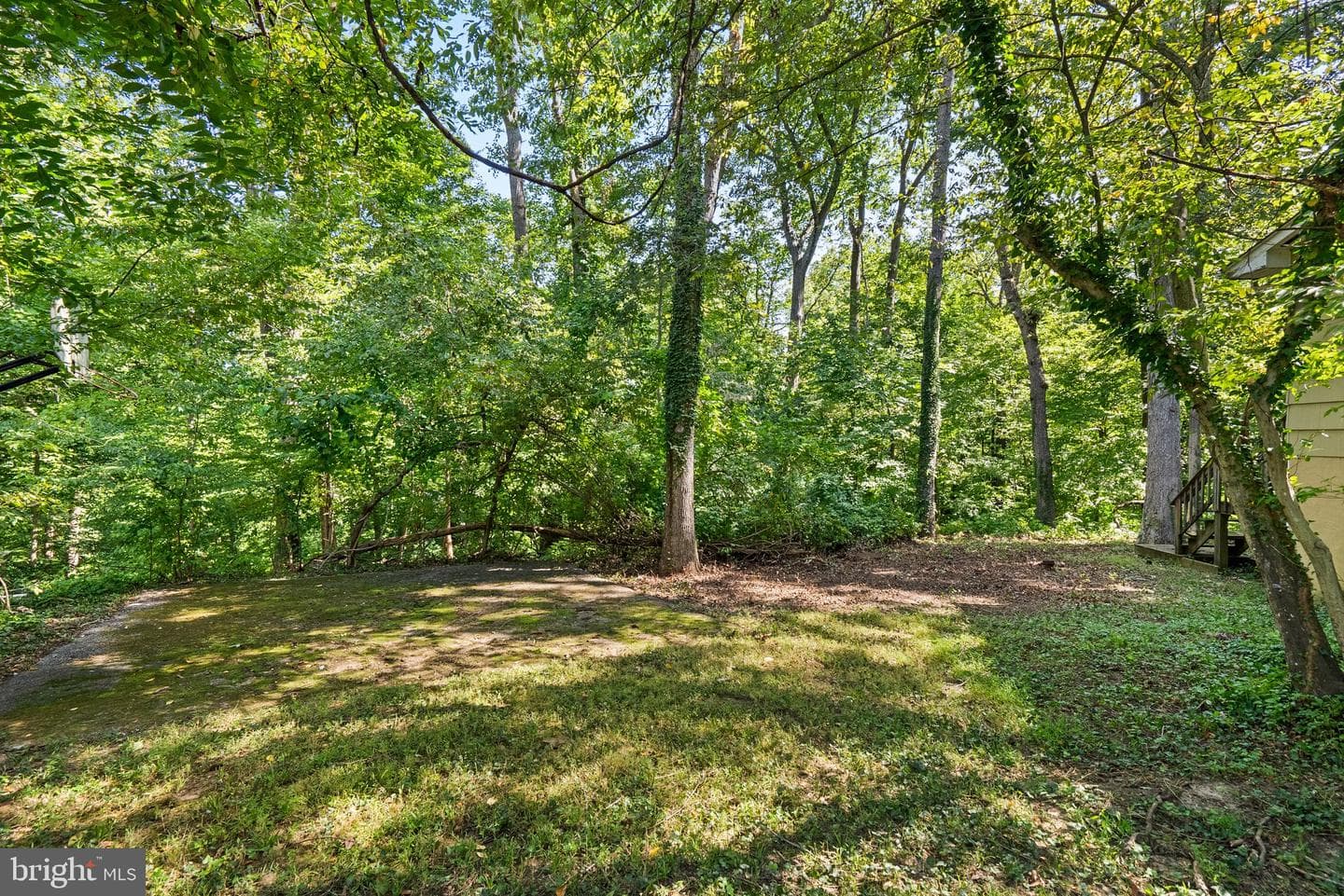 178 Tall Tree Trail photo 39