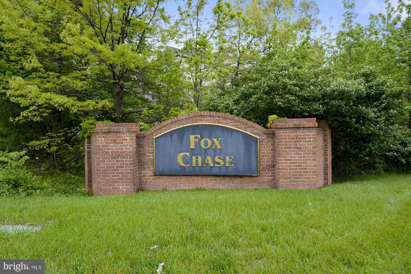 129 Foxtree Drive photo 19
