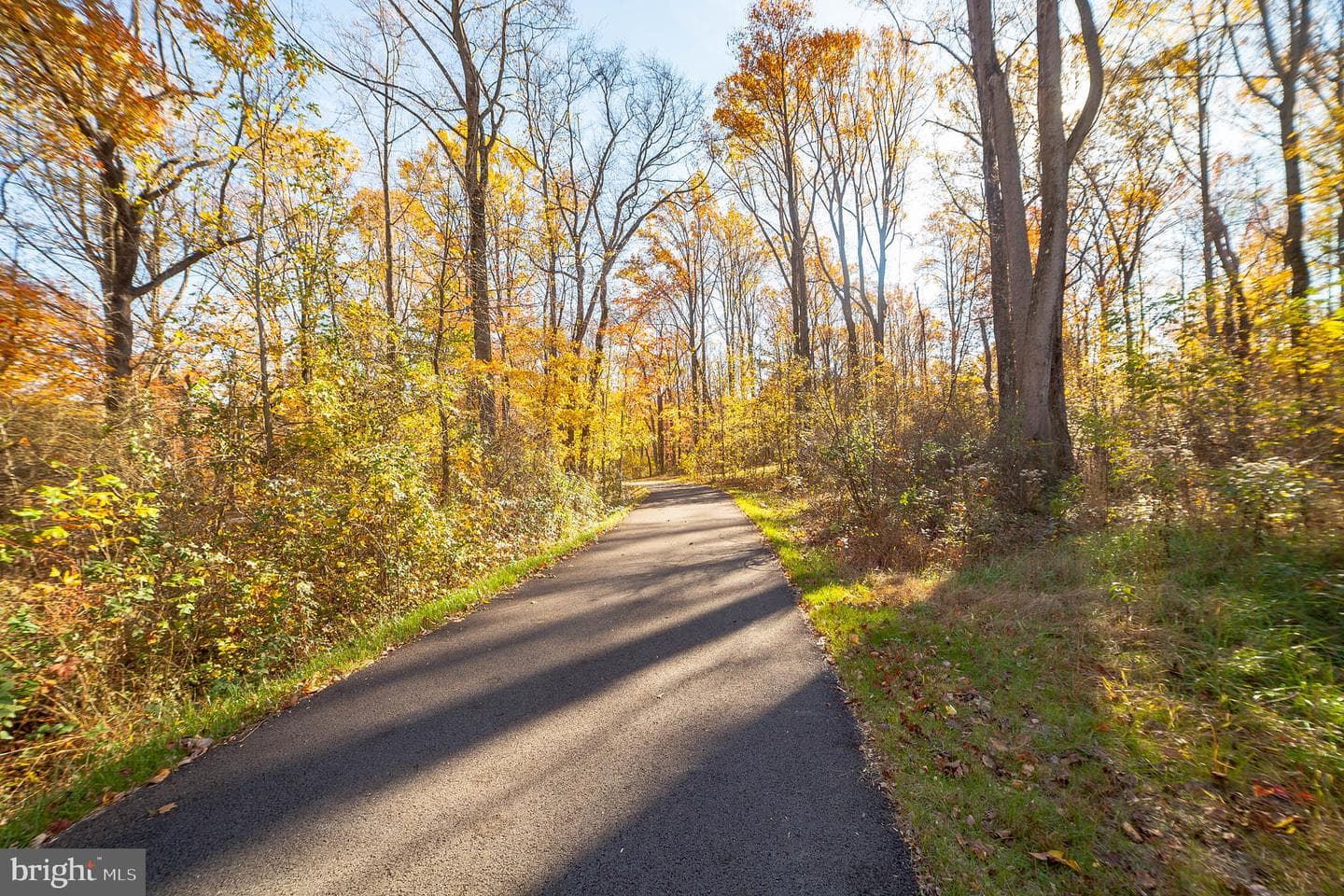 8005 Big Roundtop Road #ballad photo 18