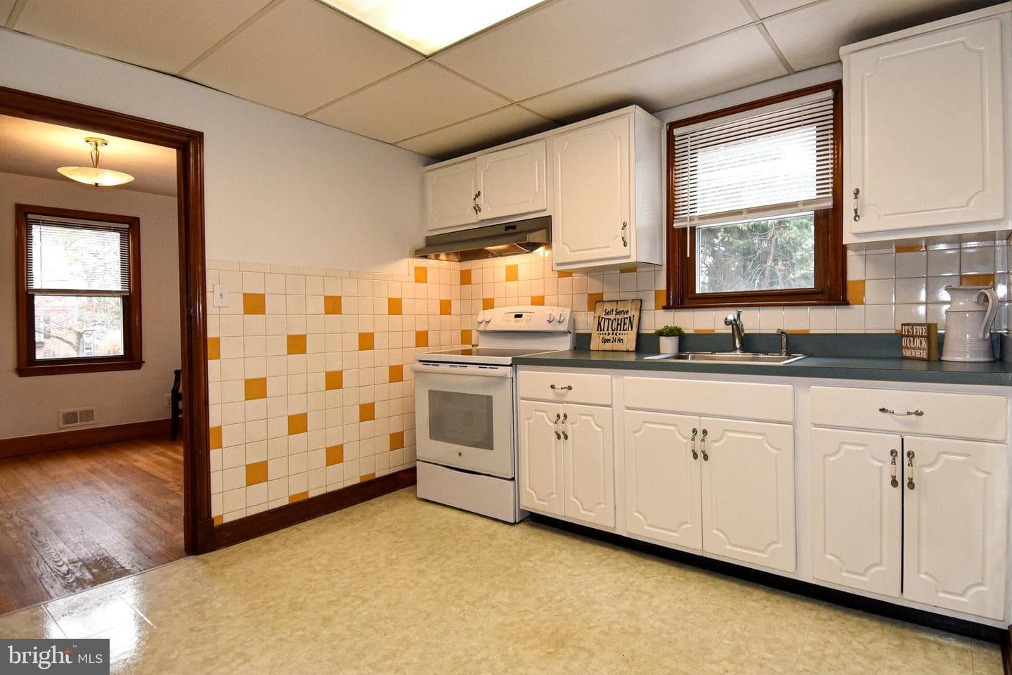 500 Dogwood Drive photo 12