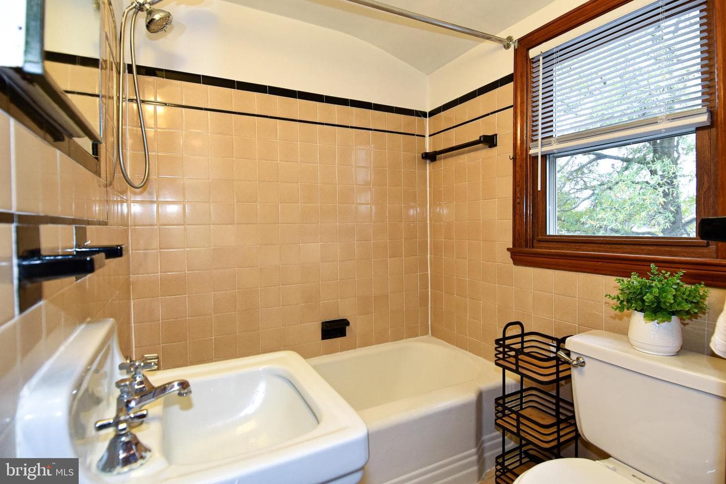 500 Dogwood Drive photo 31