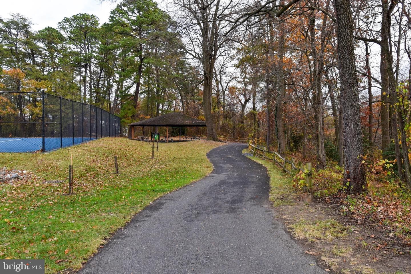 500 Dogwood Drive photo 52