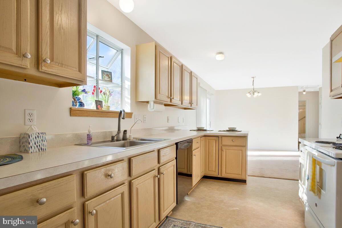 1165 Maple Avenue photo 8