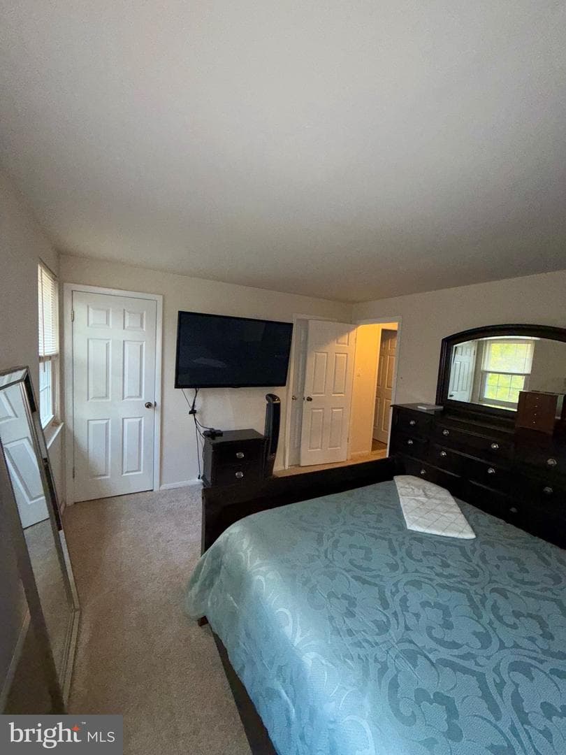 1014 Cape Splitt Harbour photo 10