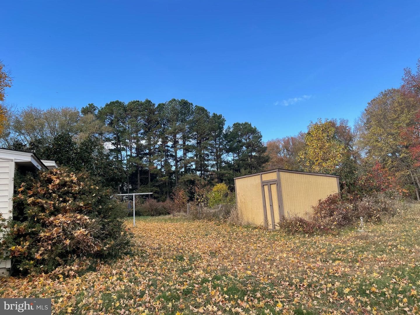 730 Shady Oaks Road photo 4