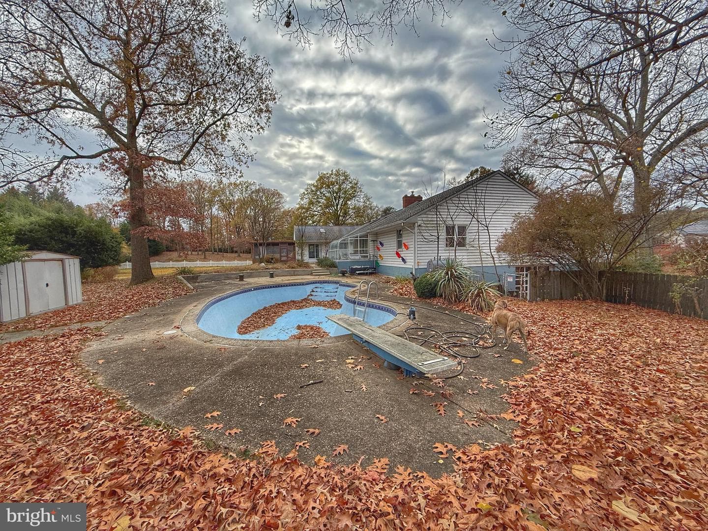 545 Donaldson Avenue photo 47