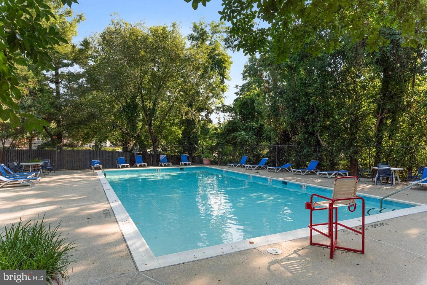 1133 Lake Heron Drive #3b photo 41