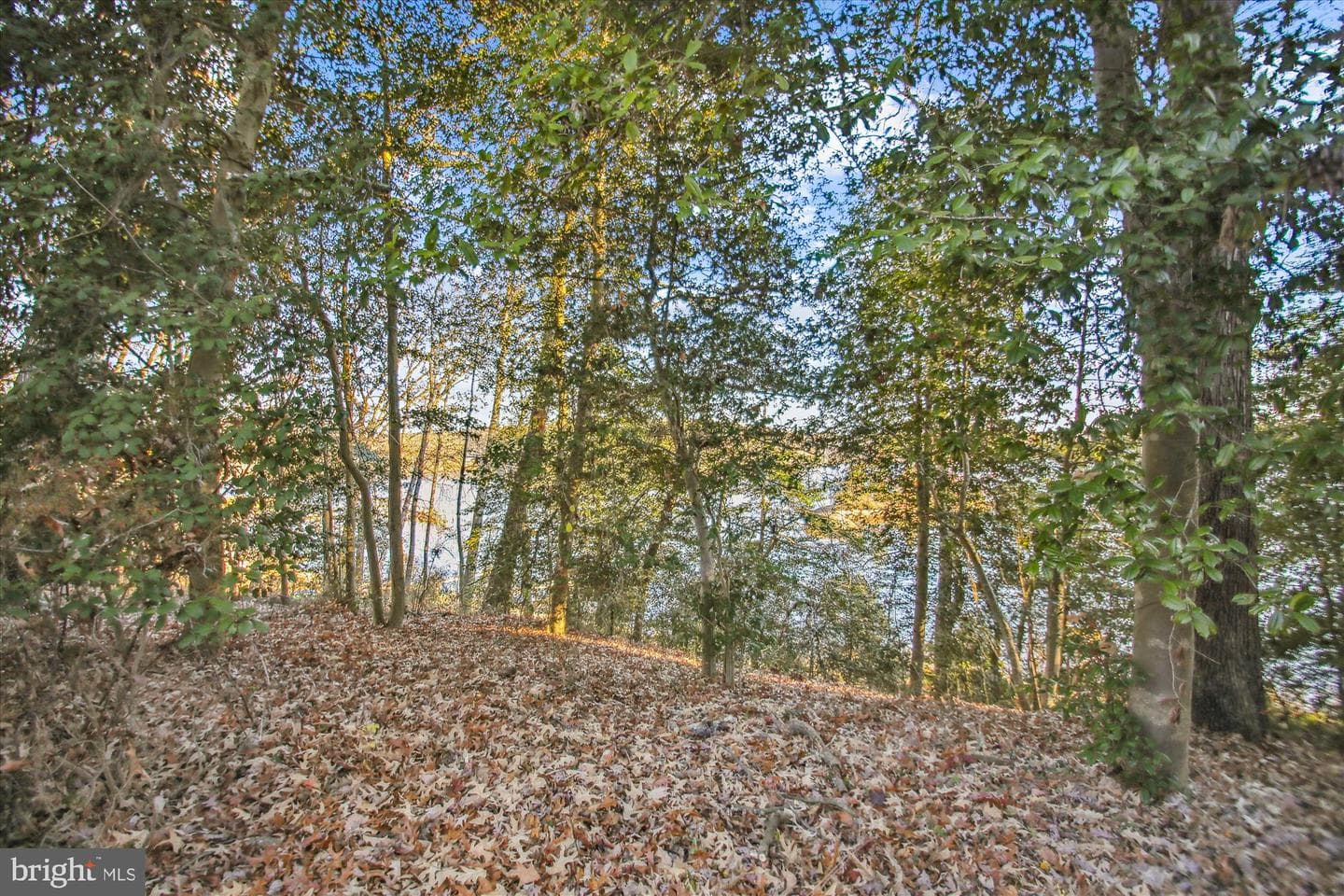 901 Indian Landing Road photo 14
