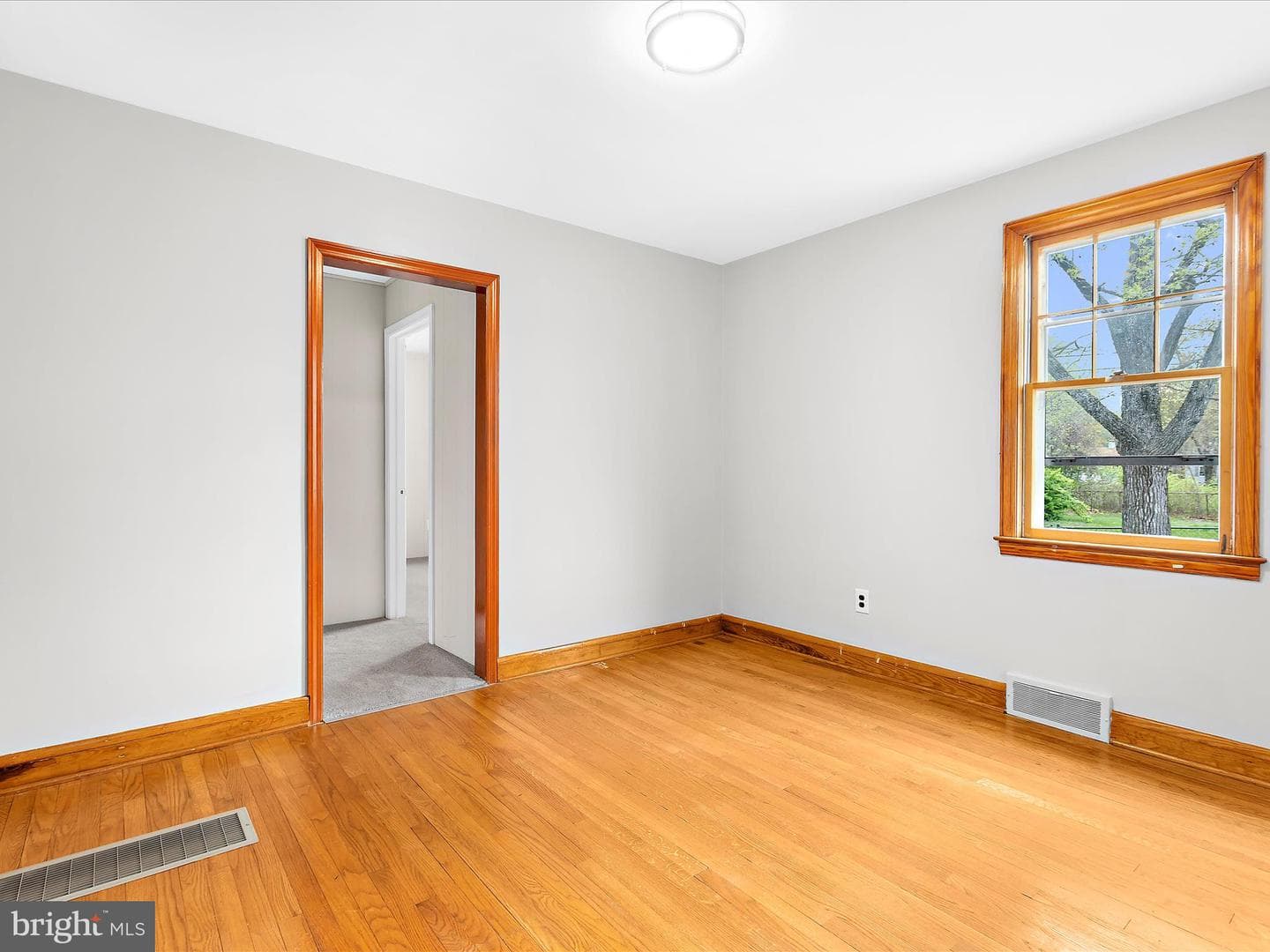 100 Sycamore Road photo 24