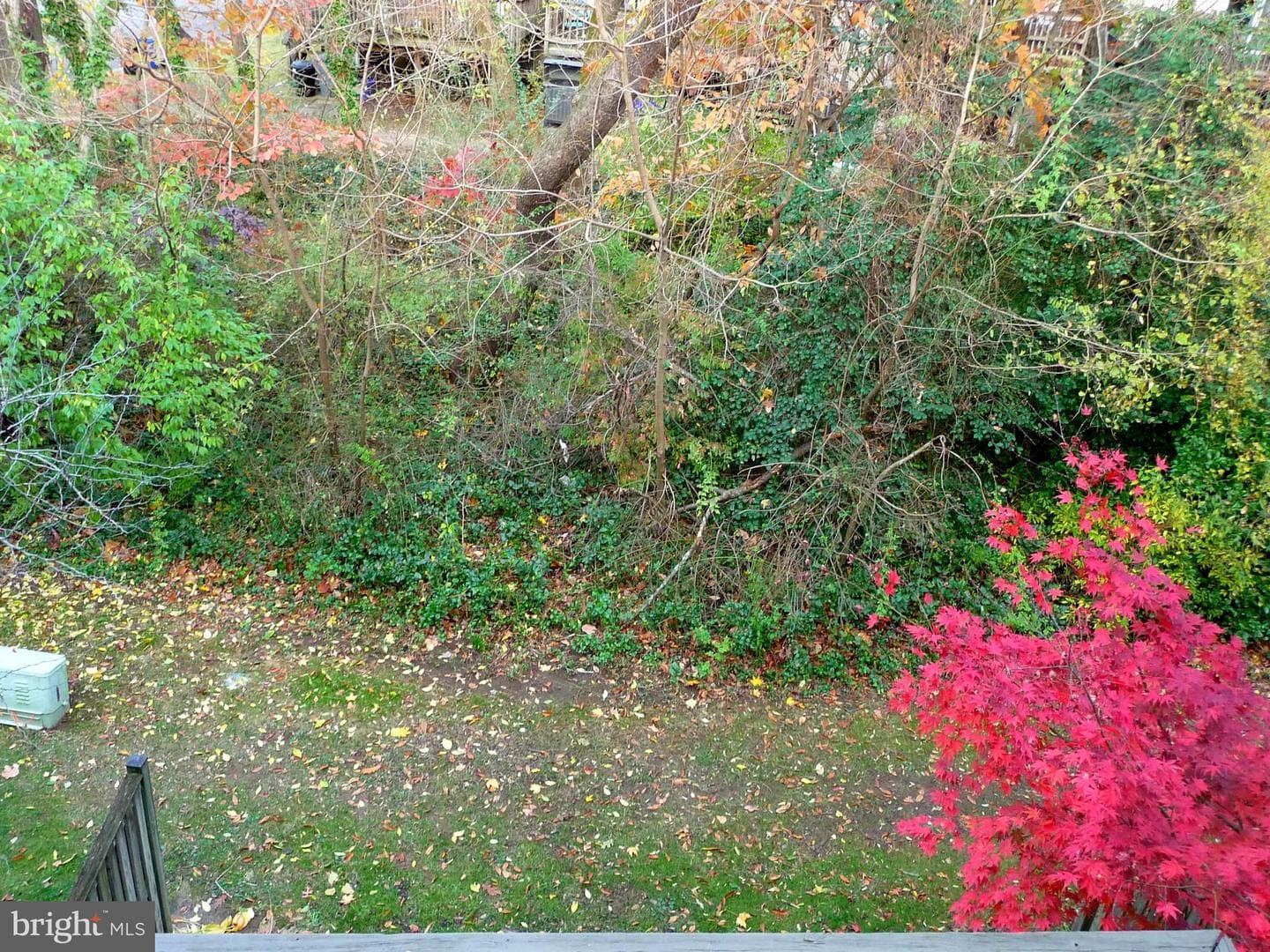 7 Rockwell Court photo 21